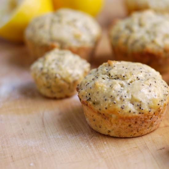 Lemon Poppy Seed Muffins