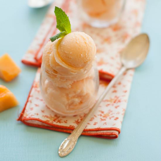 Cantaloupe Sorbet