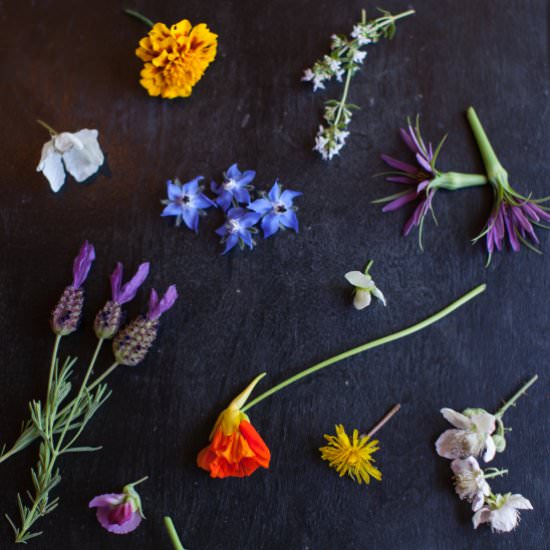 Edible Flowers