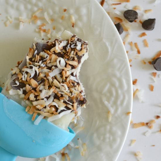 Almond Coconut Ice Cream Bars