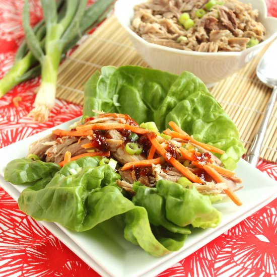 Slow Cooker Kahlua Pork