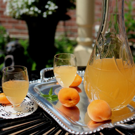 Home made apricot liquor