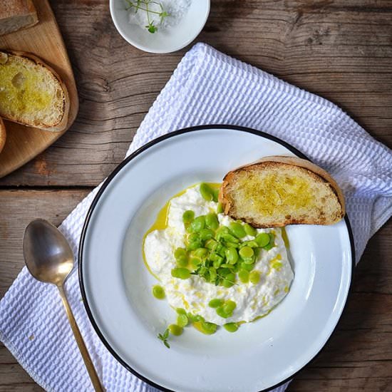 Fava Bean and Ricotta Insalata