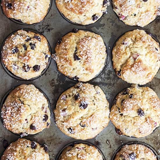 Jumbo Coffee Shop Muffins Exposed