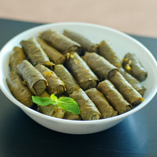Paleo Dolmathes