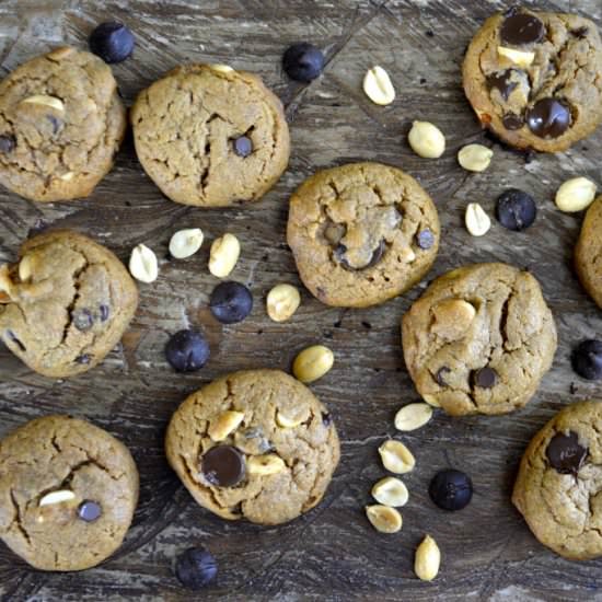 Peanut Butter Chocolate Chip Cookie