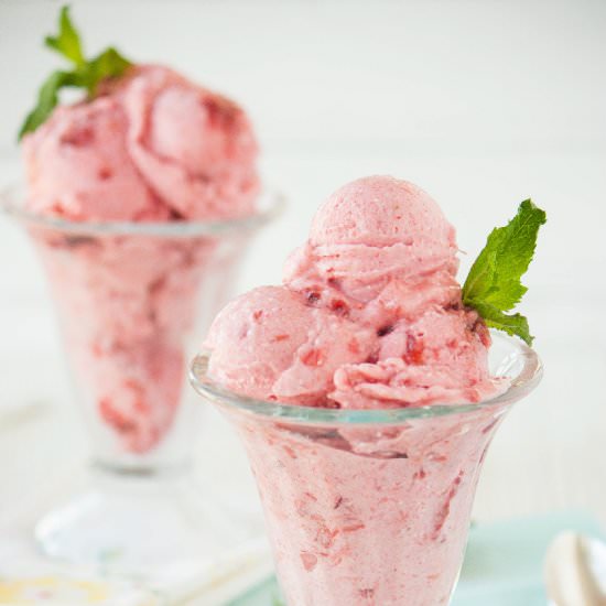 Paleo Strawberry Rhubarb Ice Cream