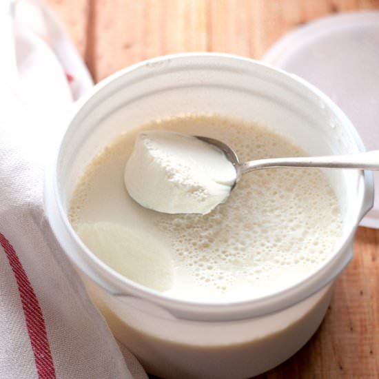 Homemade Yogurt