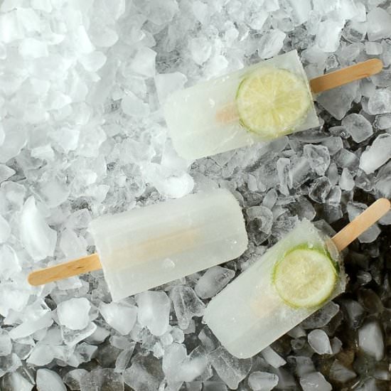 Zooquila Fresca Popsicles {poptail}