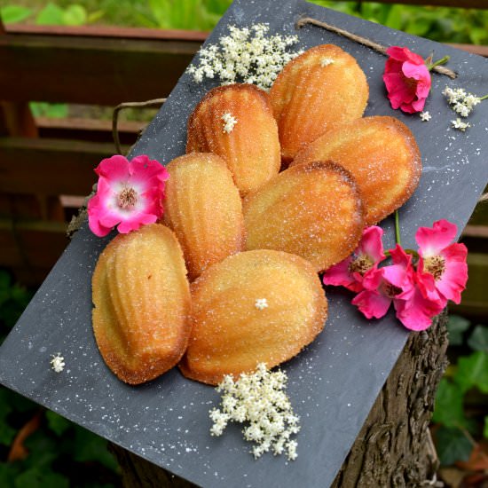 Elderflower Madeleines