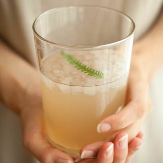 Lavender Rhubarb Shrub