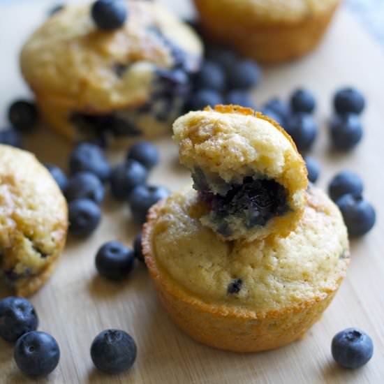 Blueberry Muffins