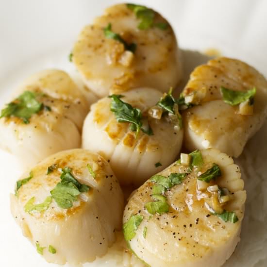 Portuguese Scallops