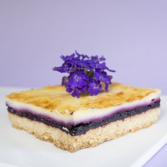 Blueberry Cheesecake