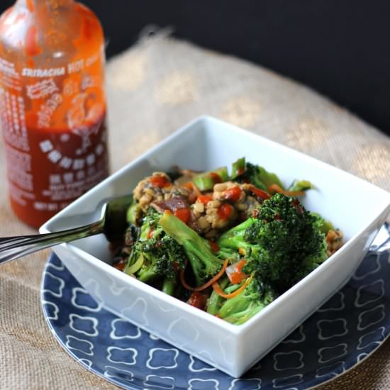 Tempeh and Broccoli Stir Fry
