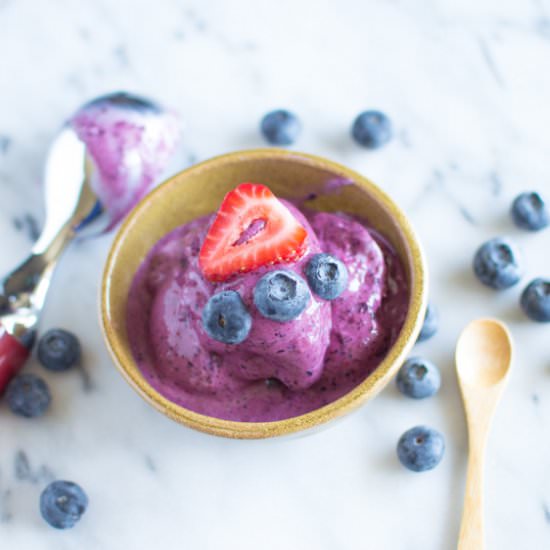 Blueberry Frozen Yogurt
