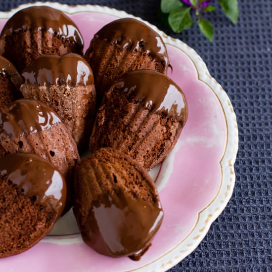 Chocolate Madeleines