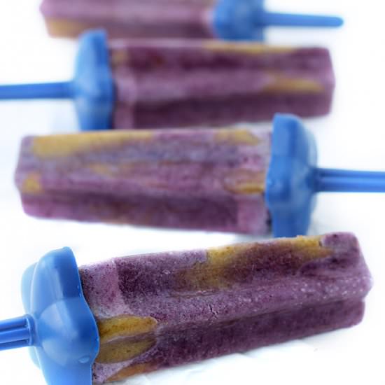Blueberry Salted Caramel Popsicles