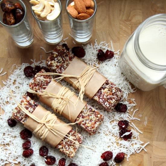 Raw Coconut Cranberry Bars