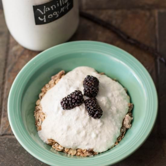 Homemade Vanilla Yogurt