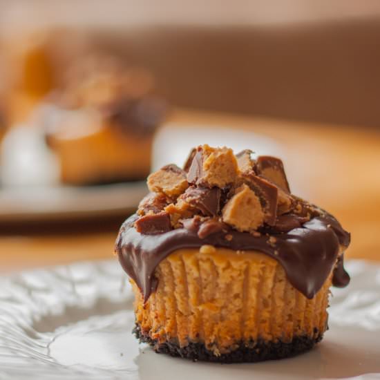 Reese’s Cup Mini Cheesecake Cupcake