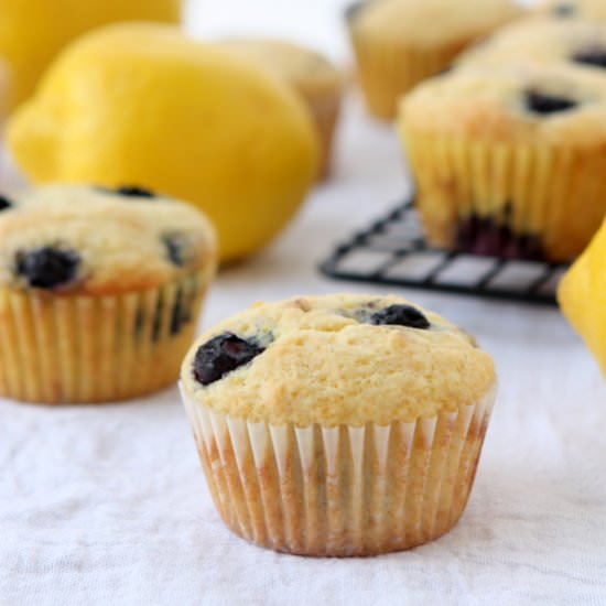 Lemon Blueberry Muffins