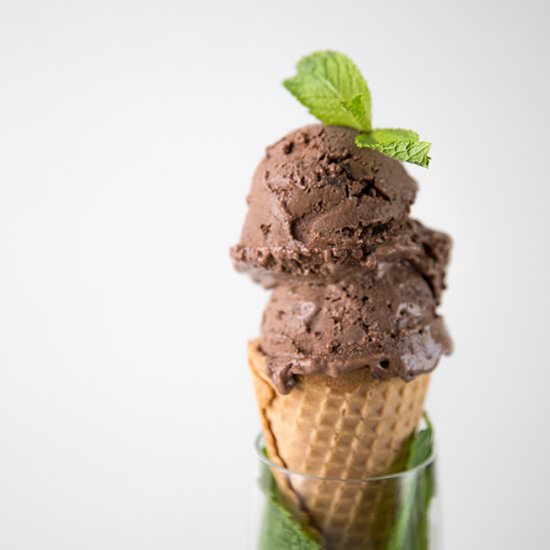 Chocolate Mint Ice Cream