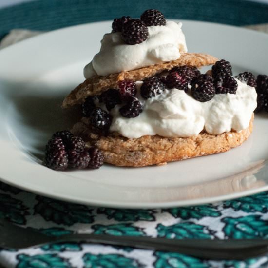 Wild Blackberry Shortcakes