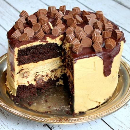 Chocolate PB Cup Cheesecake Cake