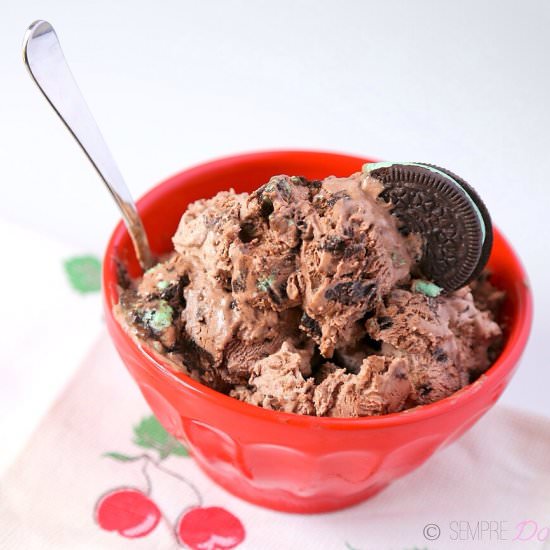 Chocolate Mint Oreo Ice Cream