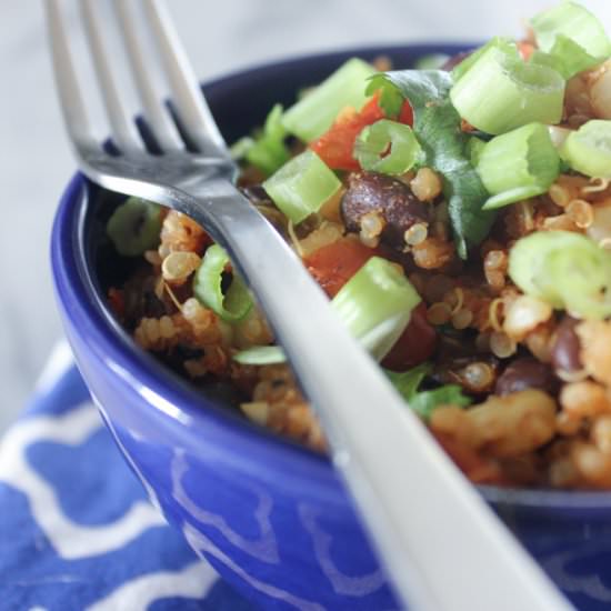 Vegan Gluten Free Mexican Quinoa