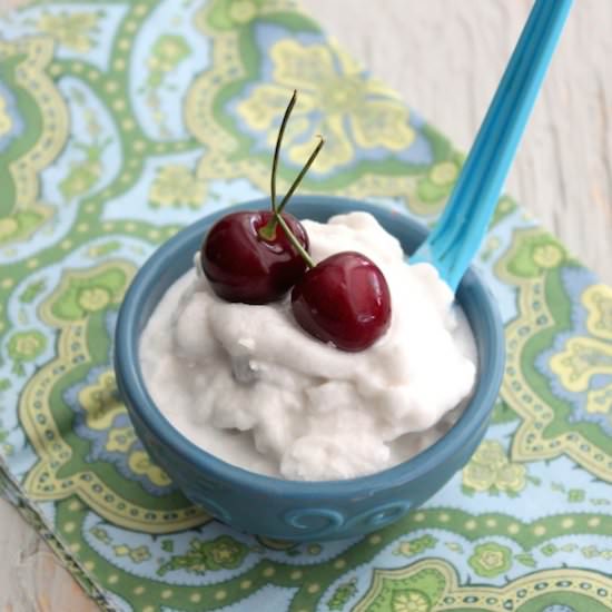 Coconut Milk Ice Cream
