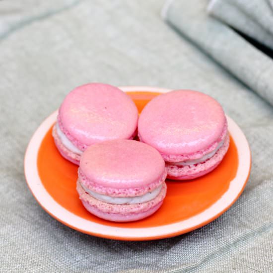 Blueberry Macarons