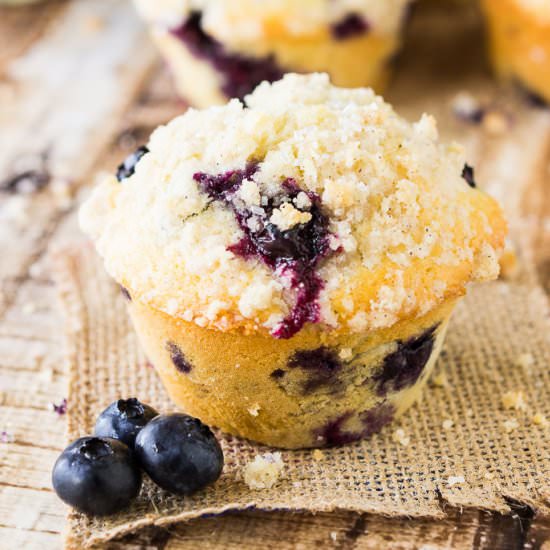 Homemade Blueberry Muffins