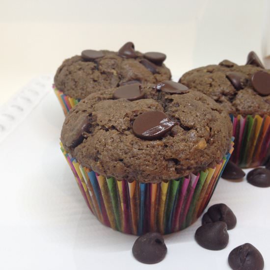 Double Chocolate Zucchini Muffins