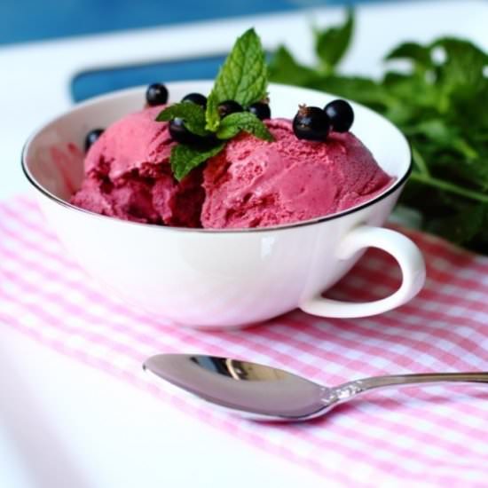 Black Currant Ice Cream