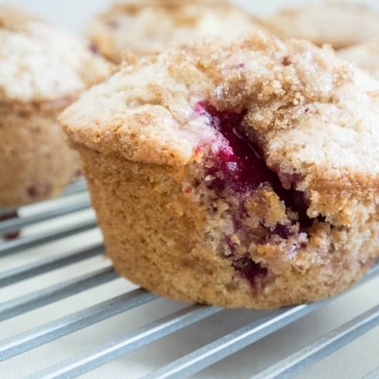 Stone Fruit Muffins