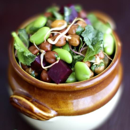 Sprouted Chickpea and Beet Salad