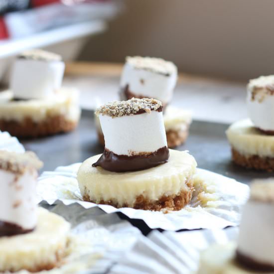 S’mores Cheesecake Ballerina Bites