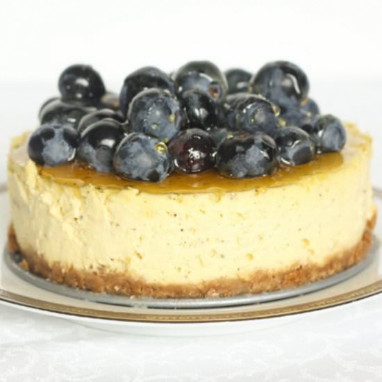 Goat Cheese Cake