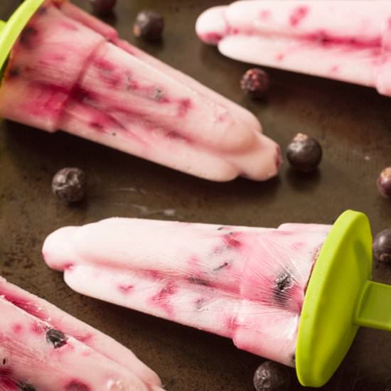 Blackcurrant & Lime Yoghurt Ice Pop