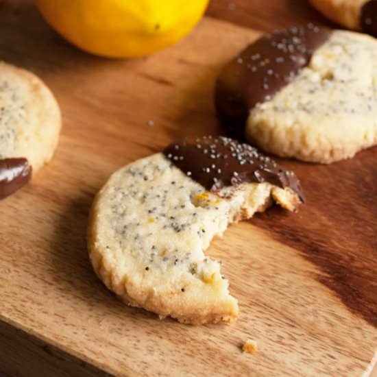 Lemon Poppy Seed Chocolate Cookies