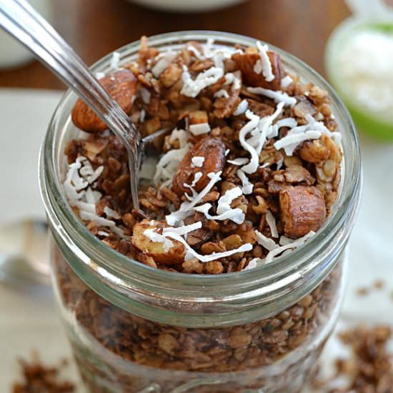 Almond Joy Granola