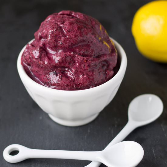 Dairy-Free Blueberry Frozen Yogurt
