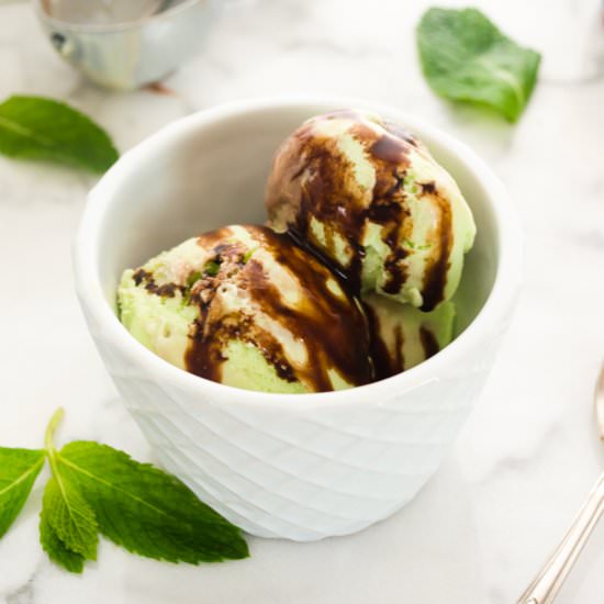 Fresh Mint Ice Cream w/Mocha Ripple