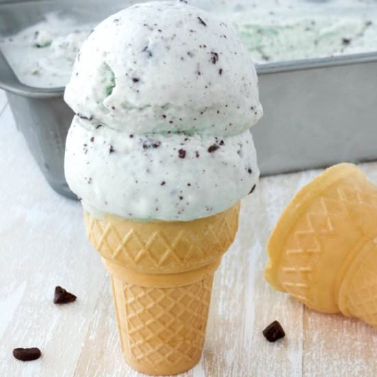 Chocolate Chip Mint Ice Cream