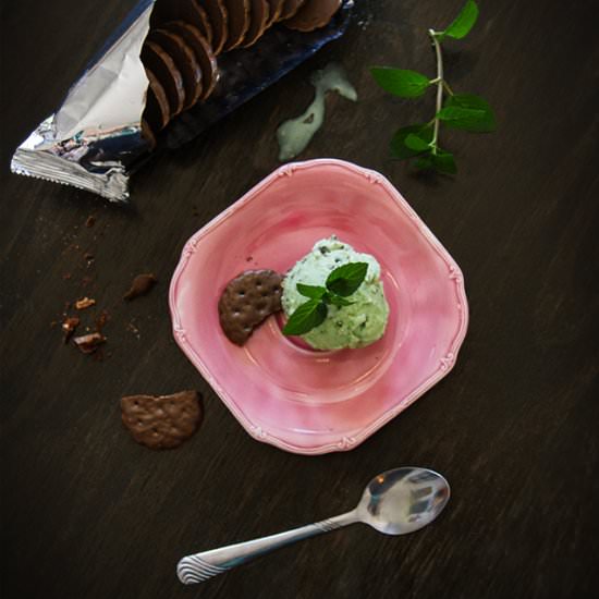 Vegan Thin Mint Ice Cream