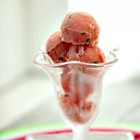 Watermelon Dark Chocolate Sorbet