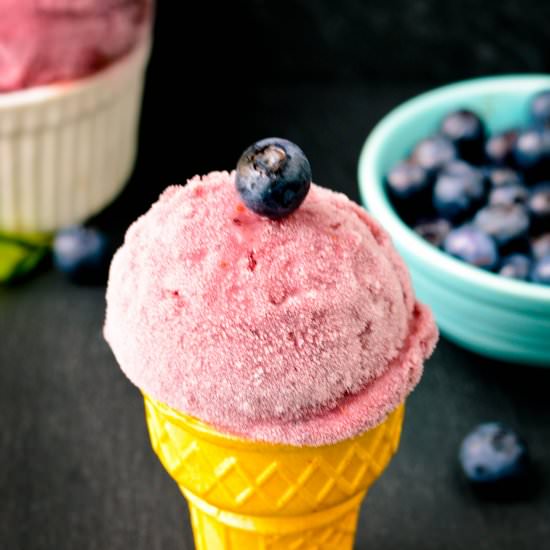 Blueberry Buttermilk Sorbet