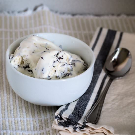 Homemade Chocolate Chip Ice Cream